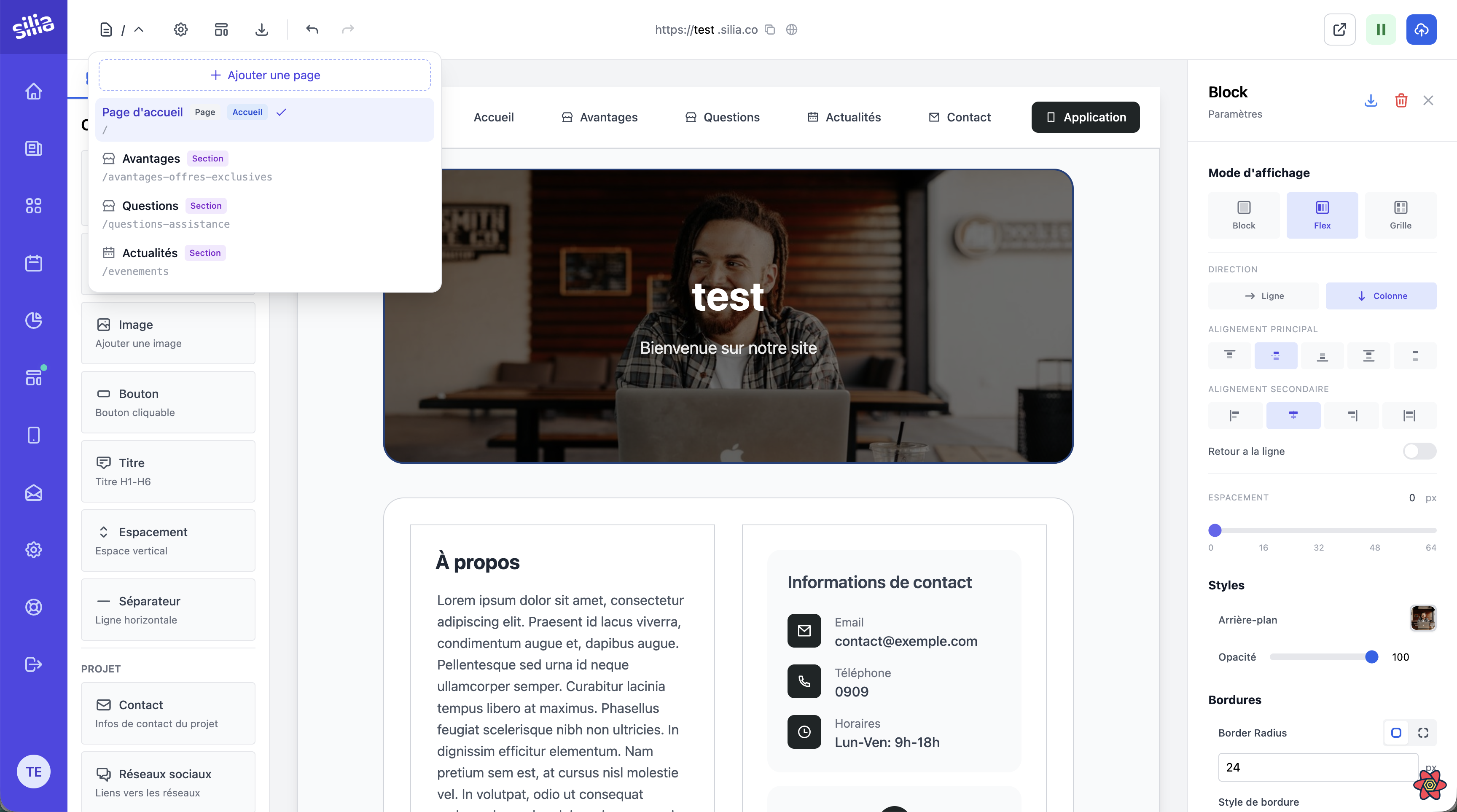 Éditeur visuel du Web Builder